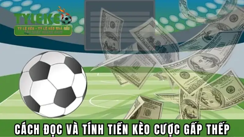 Chia sẻ cách đọc và tính tiền khi chơi kèo cược này