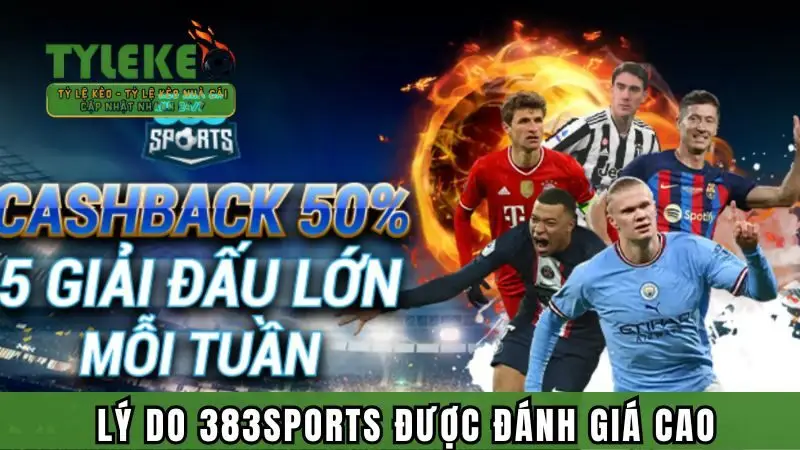 Những lý do 383sports được đánh giá cao
