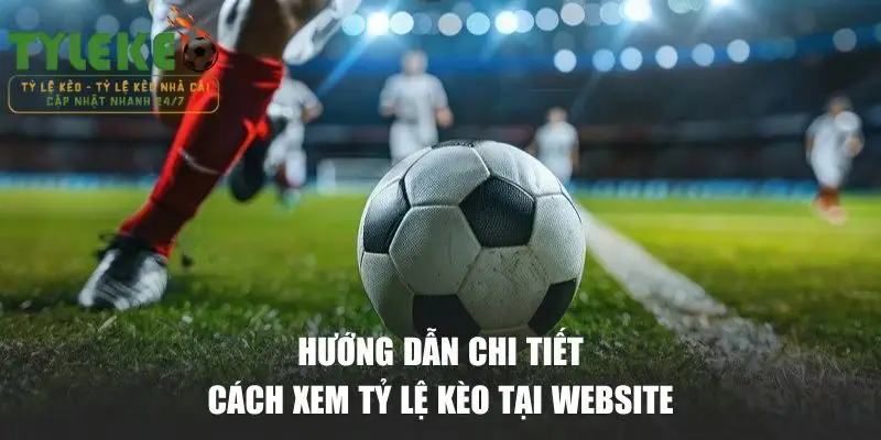 Cách sử dụng nền tảng để theo dõi tỷ lệ chuẩn xác